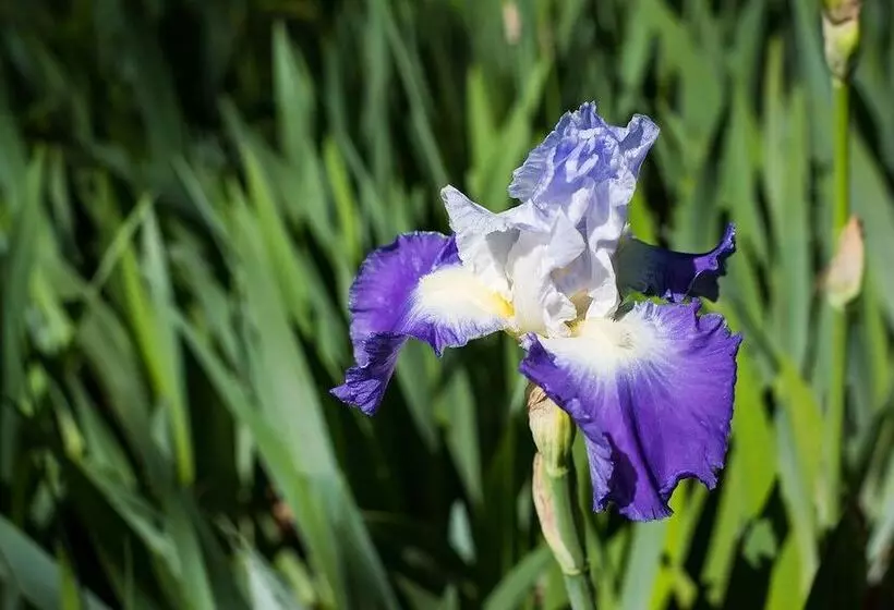 Oak Grove Bed And Breakfast