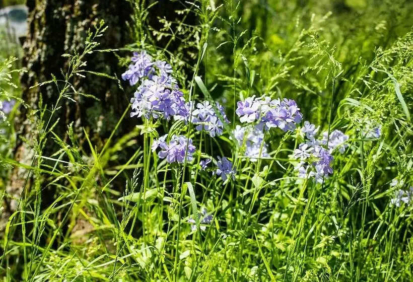 Oak Grove Bed And Breakfast