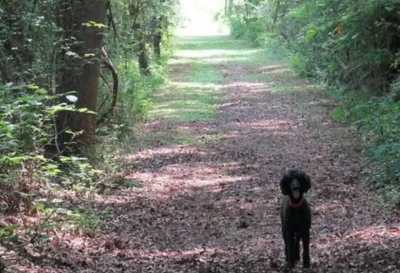 Oak Grove Bed And Breakfast