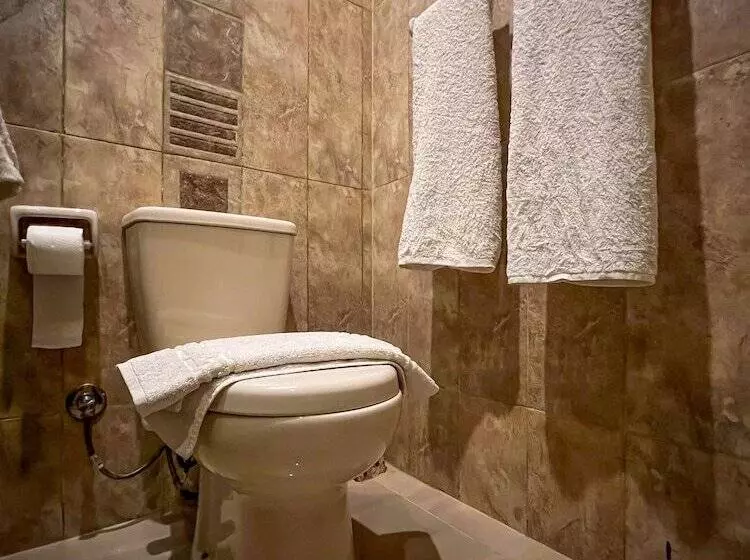 هتل Giza Pyramids View Inn