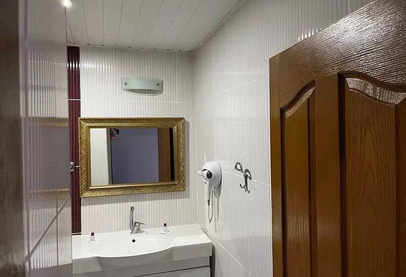 هتل Metros