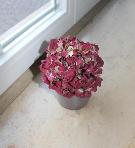 Bismarck Hostel öhringen