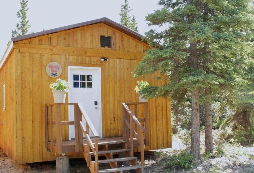 Arctic Dragonfly Inn