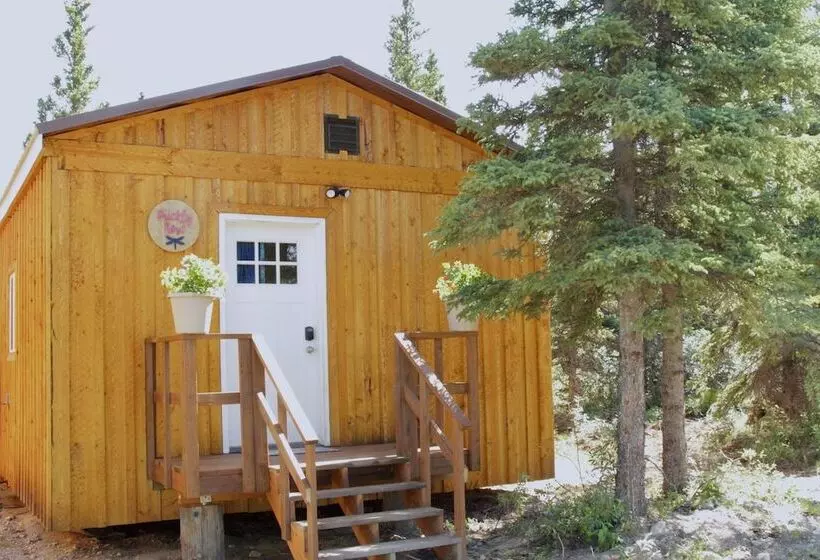 Arctic Dragonfly Inn