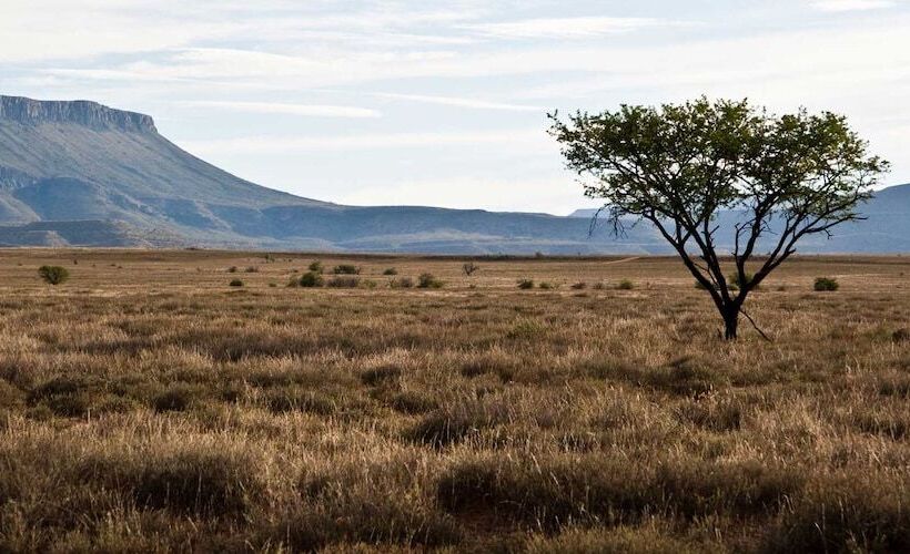 酒店 Teri Lemveli Lodge