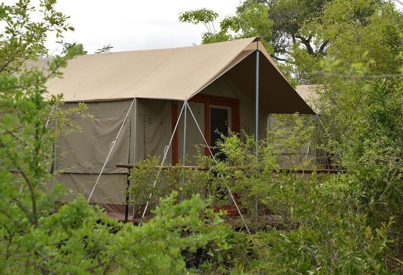 فندق Wild Olive Tree Camp