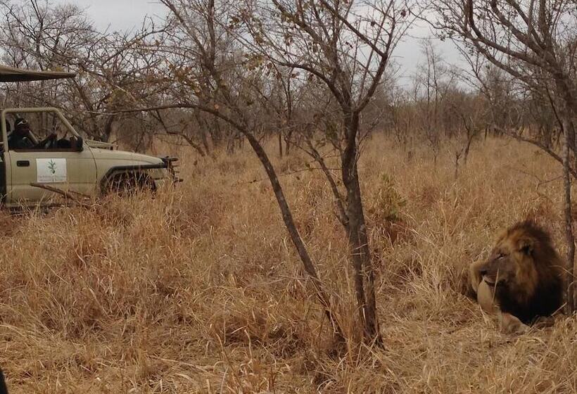 فندق Wild Olive Tree Camp