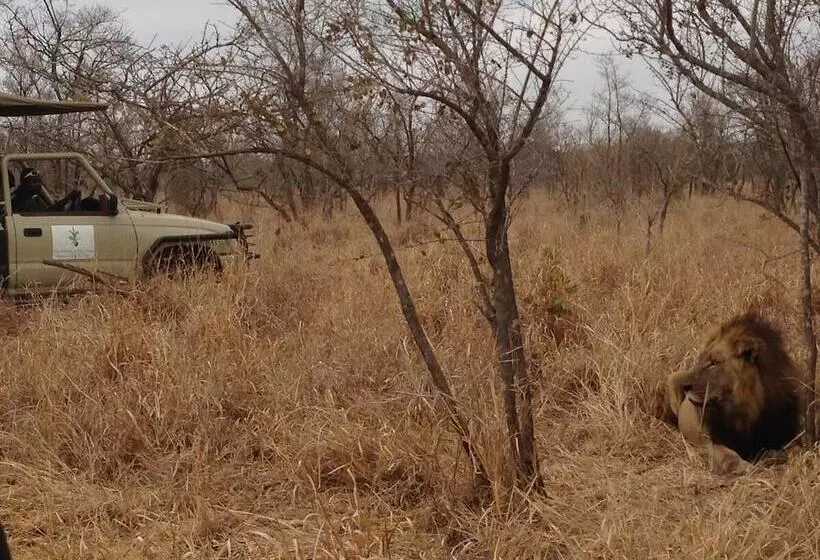Hotelli Wild Olive Tree Camp