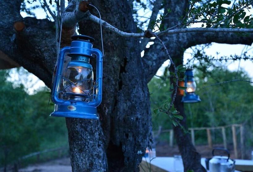 فندق Wild Olive Tree Camp