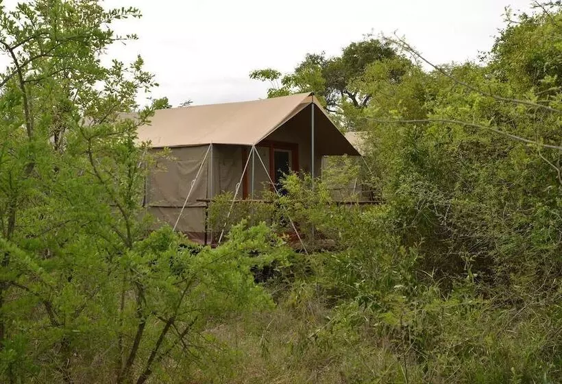 Hotelli Wild Olive Tree Camp