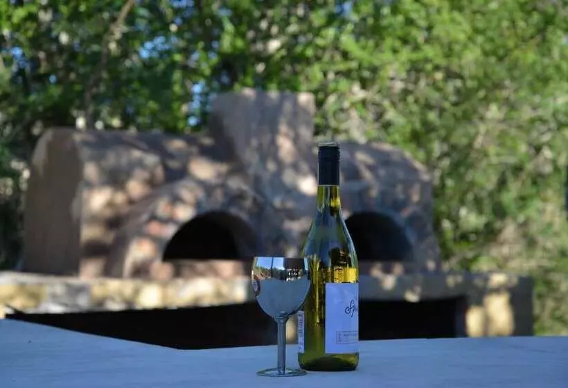 Hotelli Wild Olive Tree Camp