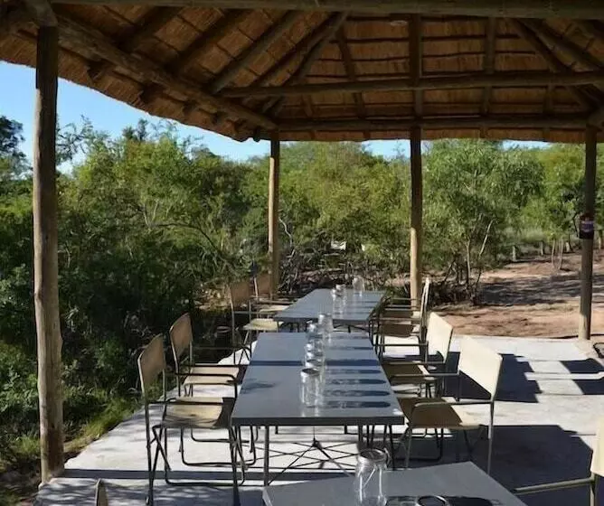 Hotelli Wild Olive Tree Camp