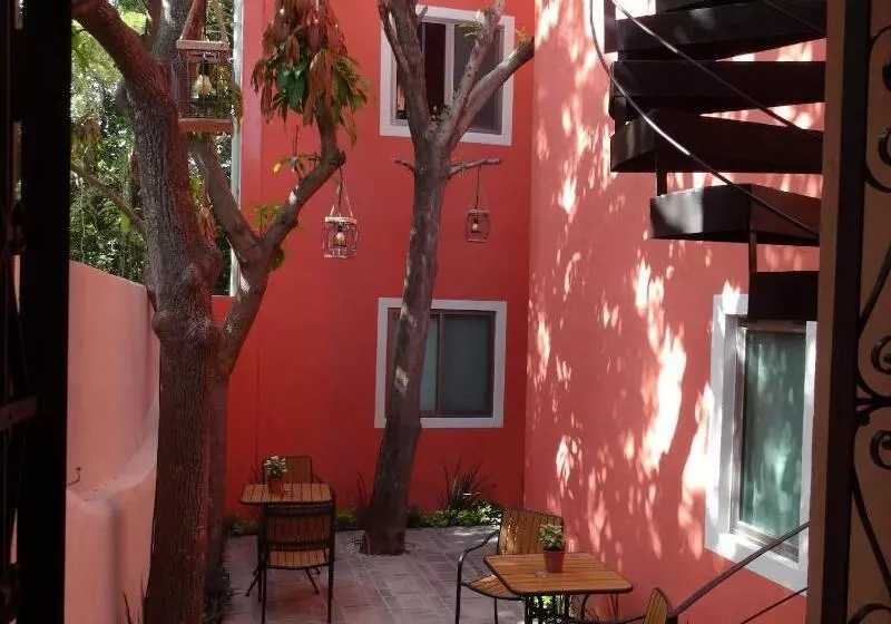 پانسیون Casa San Juan