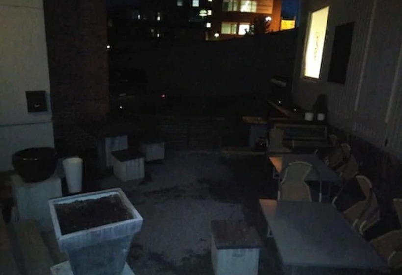 Hotel 1016 Olav Digre