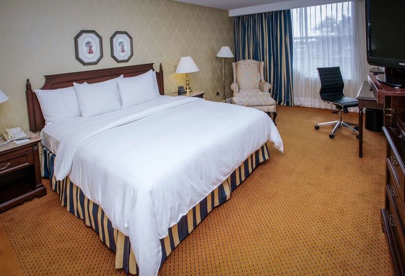 ホテル Hilton Princess Managua