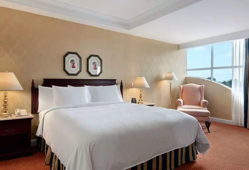 ホテル Hilton Princess Managua