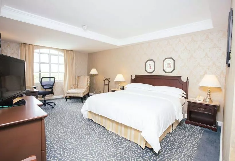 ホテル Hilton Princess Managua