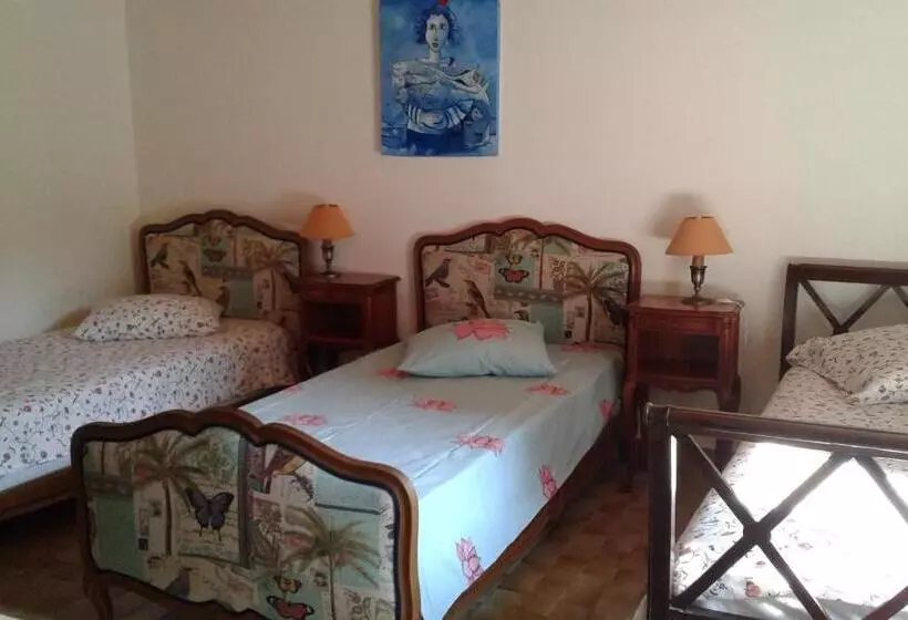 ベッドアンドブレックファースト L'isle De Bourbon