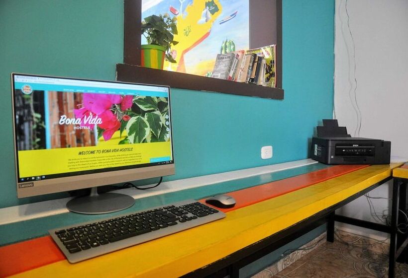 Bona Vida Hostel