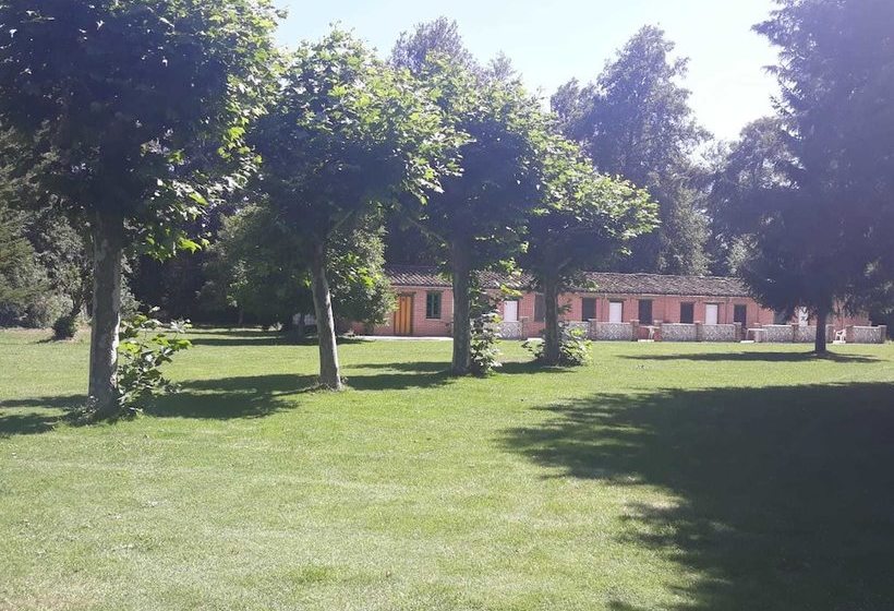 فندق فئة نجمة واحدة La Ribera