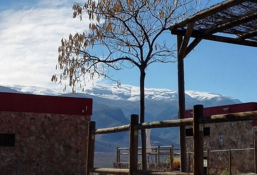 ホテル Camping Almocita