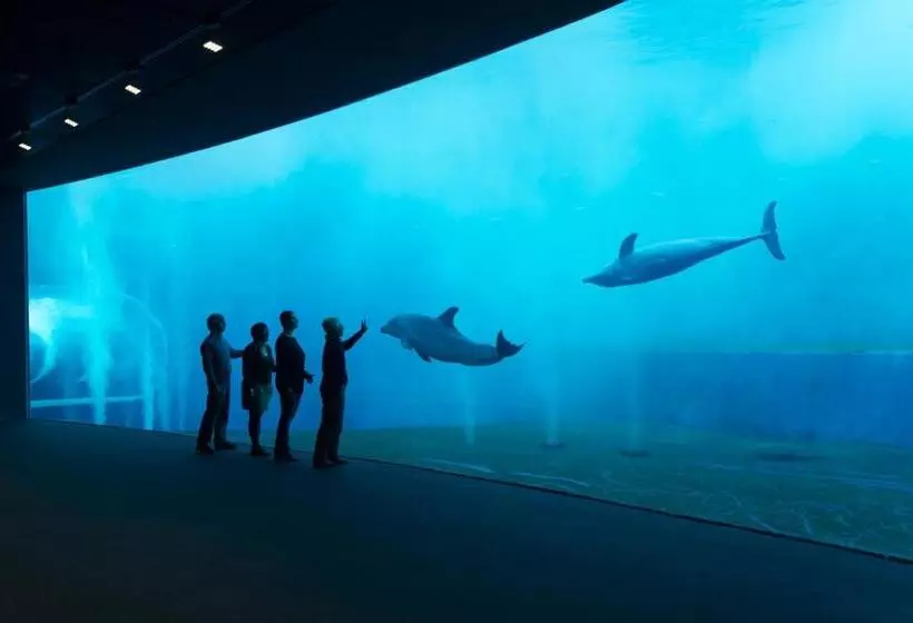 پانسیون Royal Suite