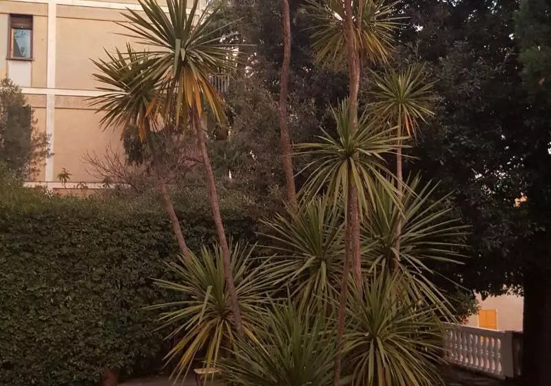 پانسیون Royal Suite