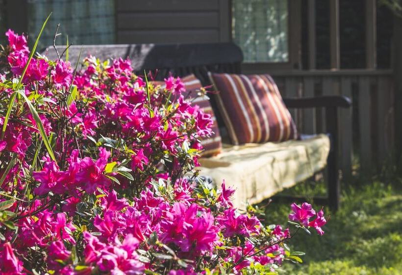 住宿加早餐  River Mansion Spa