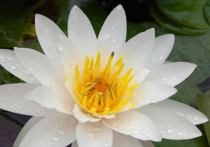 酒店 Stella Resort