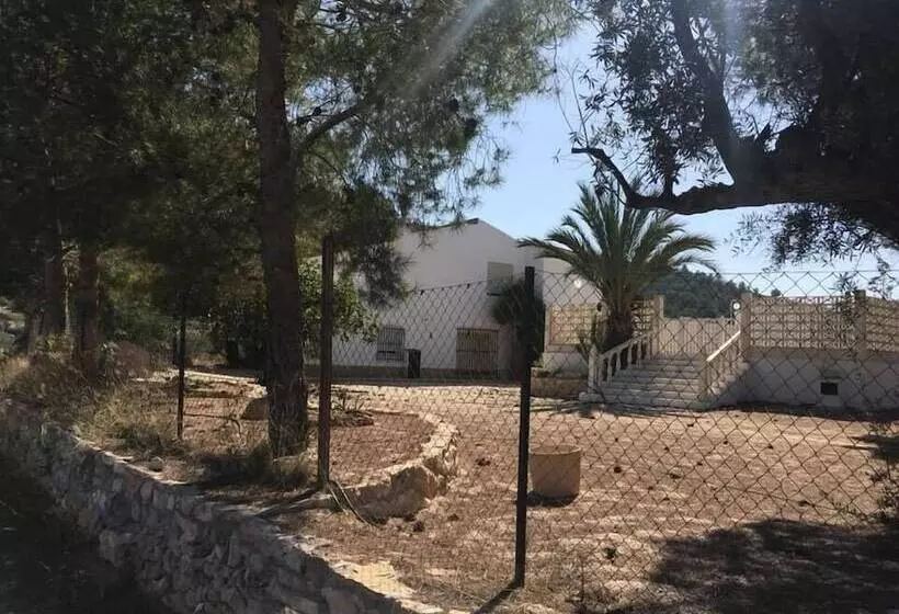 تختخواب و صبحانه Alegría