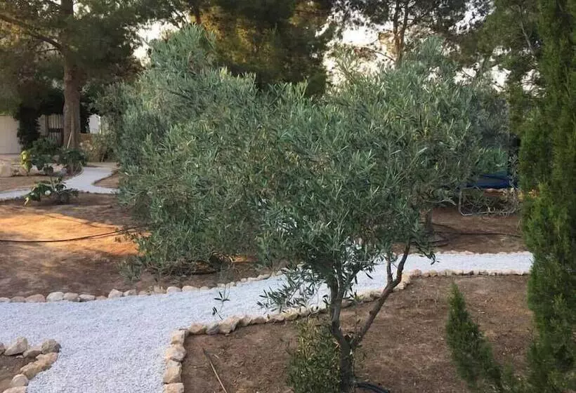 تختخواب و صبحانه Alegría