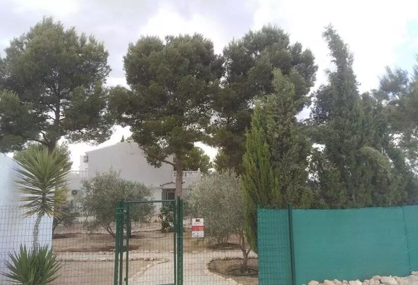 تختخواب و صبحانه Alegría