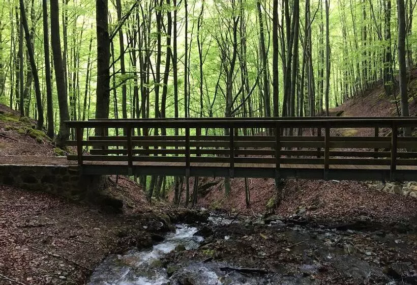 Hostal Monasterio De Valvanera