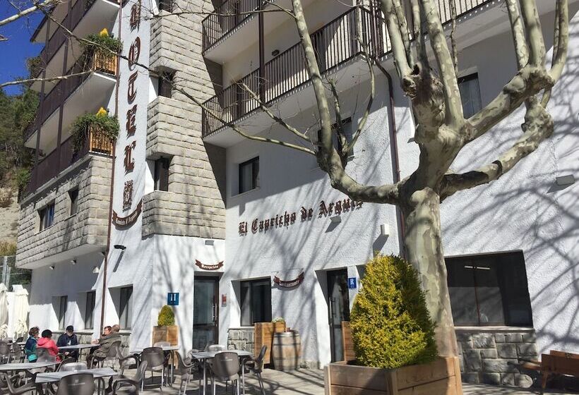 בית מלון כפרי El Capricho De Arguis