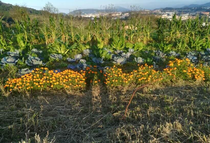 هتل روستایی Casa Rural Aristondo Agroturismo