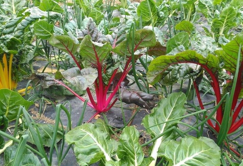 هتل روستایی Casa Rural Aristondo Agroturismo