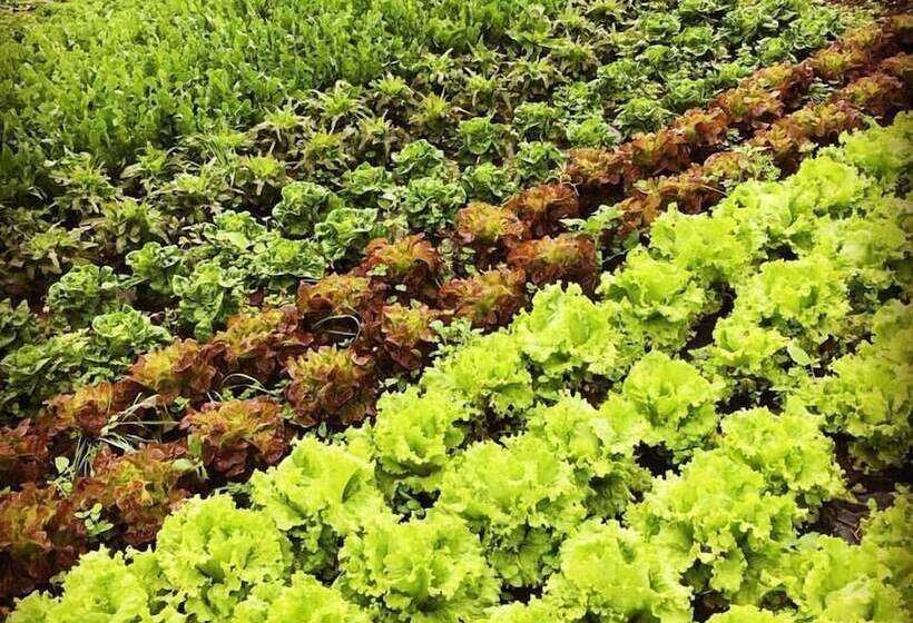 هتل روستایی Casa Rural Aristondo Agroturismo