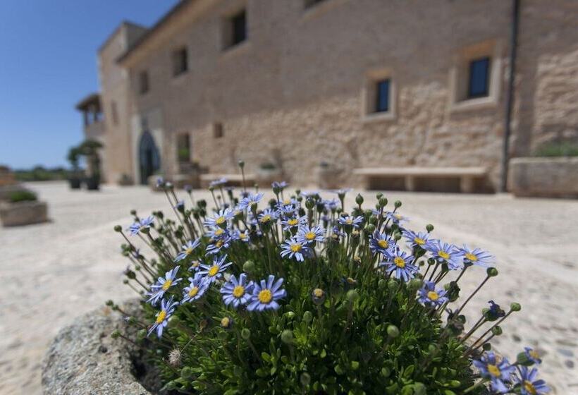 فندق ريفى Finca Gomera, Luxury Country House