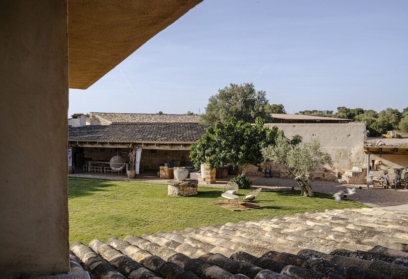 فندق ريفى Finca Gomera, Luxury Country House