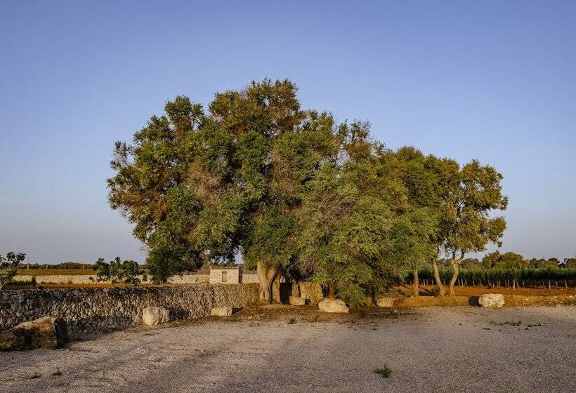 فندق ريفى Finca Gomera, Luxury Country House