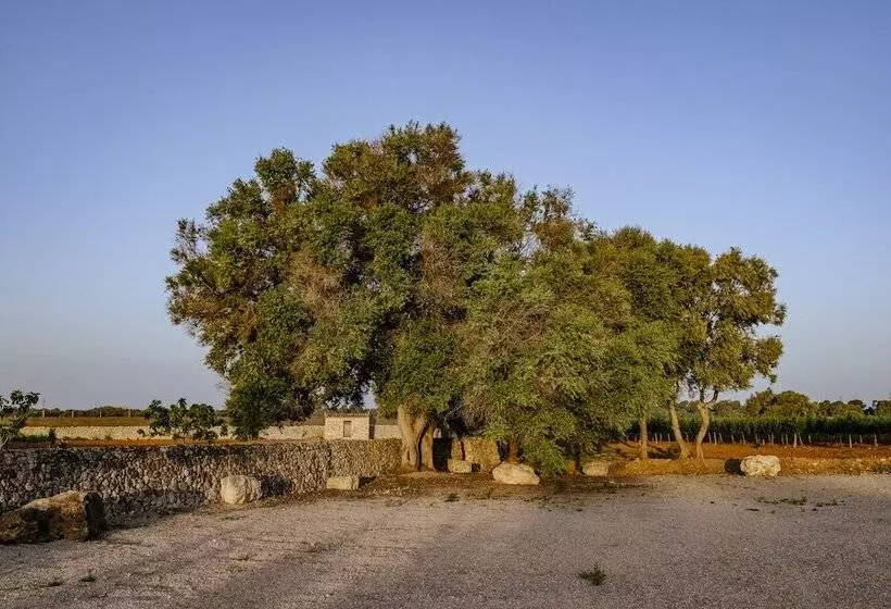 Maaseutuhotelli Finca Gomera, Luxury Country House
