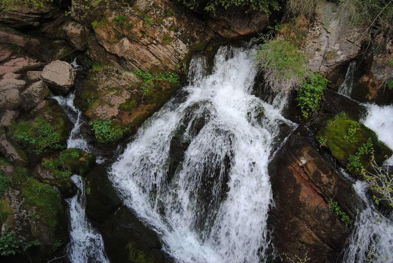 فندق Santa Barbara