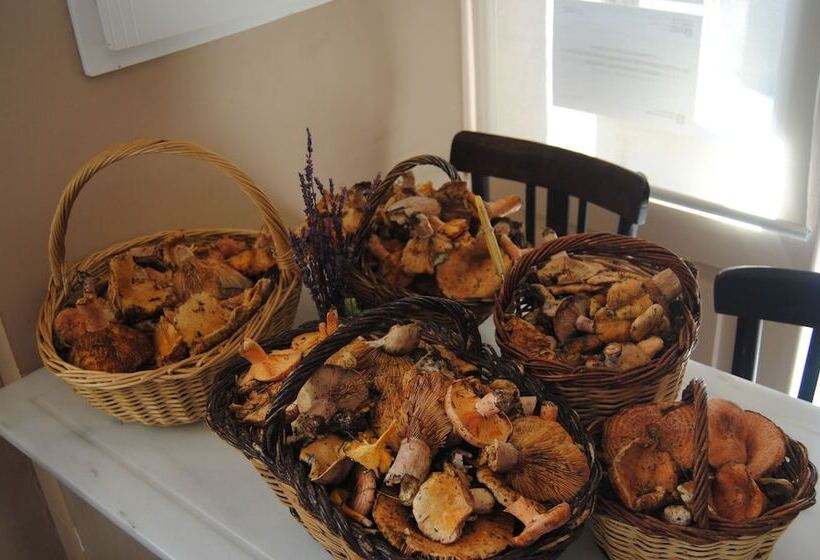 فندق Santa Barbara