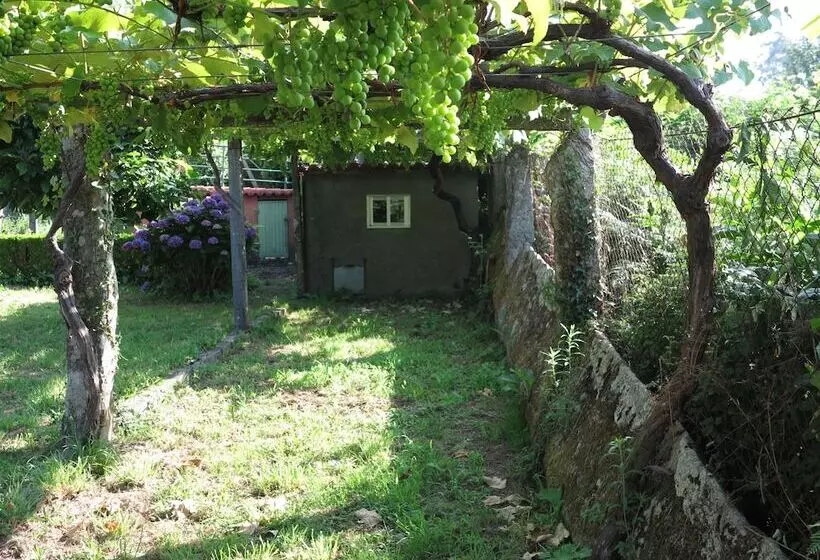 ユースホステル Hostal Boavista
