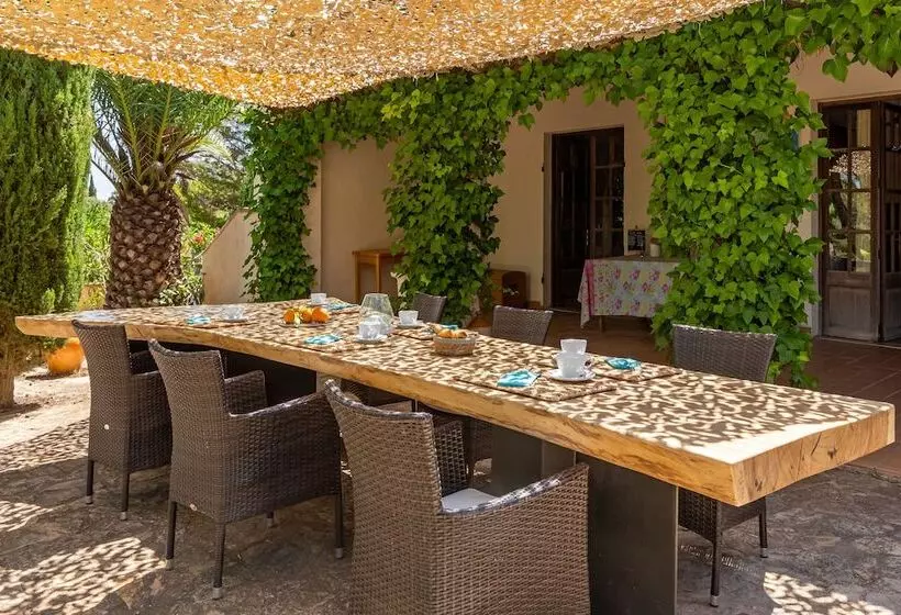 Aamiaismajoitus (B&B) Finca Son Jorbo   Adults Only