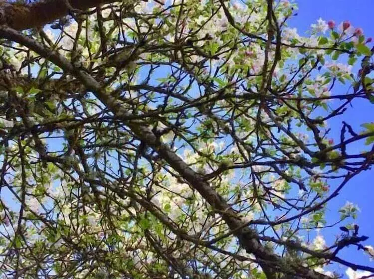 Hostelli Rural Nova Ruta