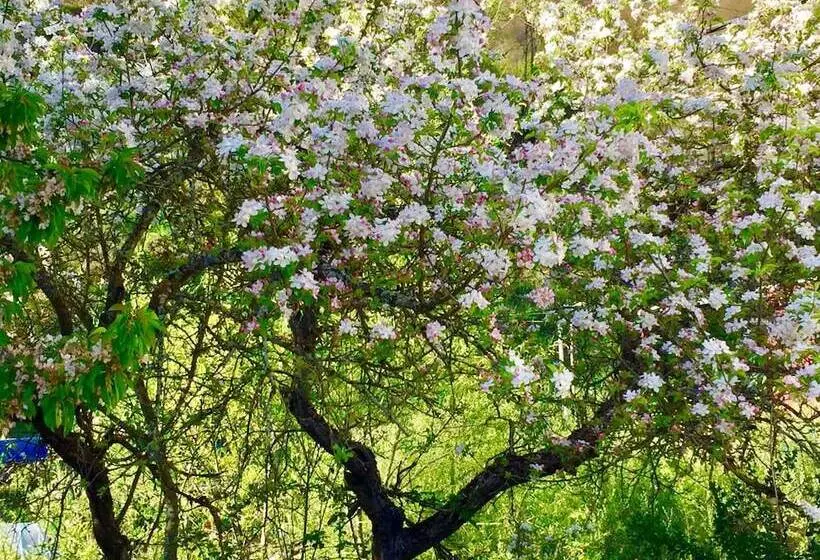 Hostelli Rural Nova Ruta