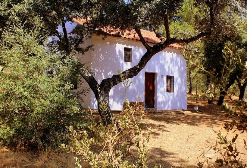 فندق Camping Puente Nuevo