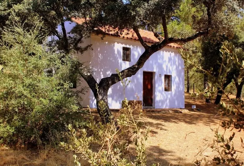 ホテル Camping Puente Nuevo