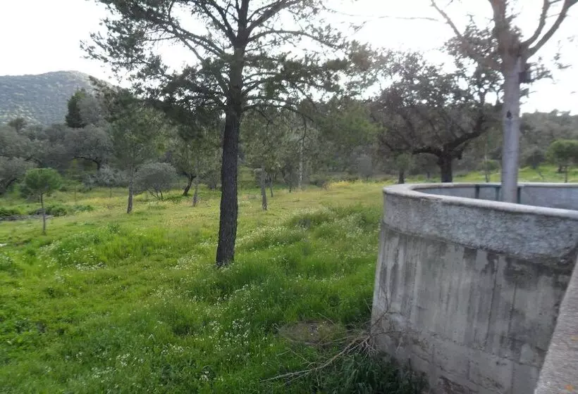 ホテル Camping Puente Nuevo